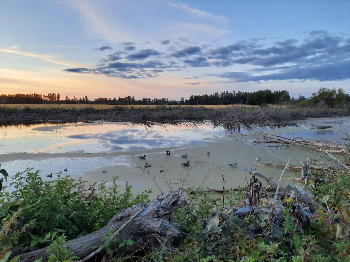 Zarichny Outfitting Alberta hunt photo