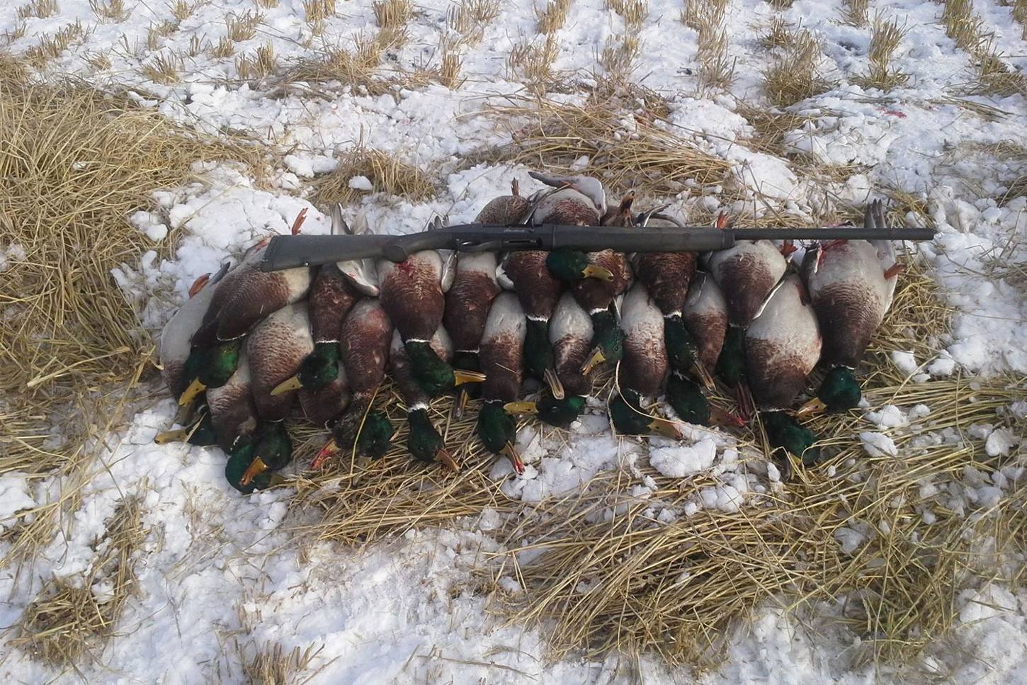 Zarichny Outfitting hunt photo