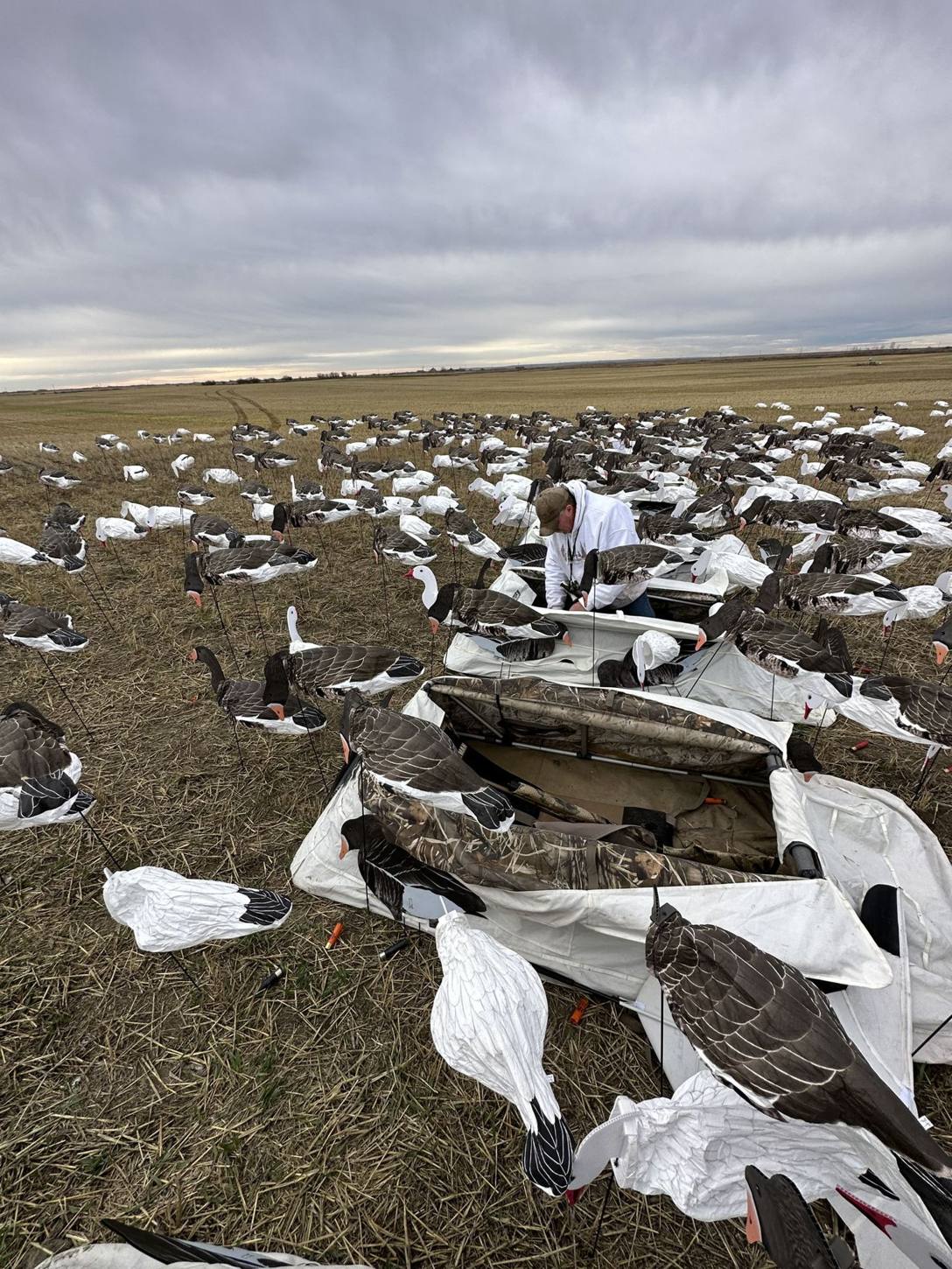 Zarichny Outfitting hunt photo
