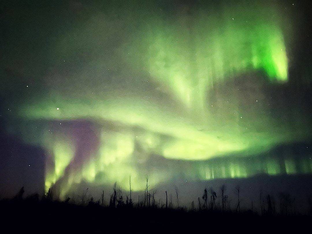 Zarichny Outfitting Alberta hunt photo