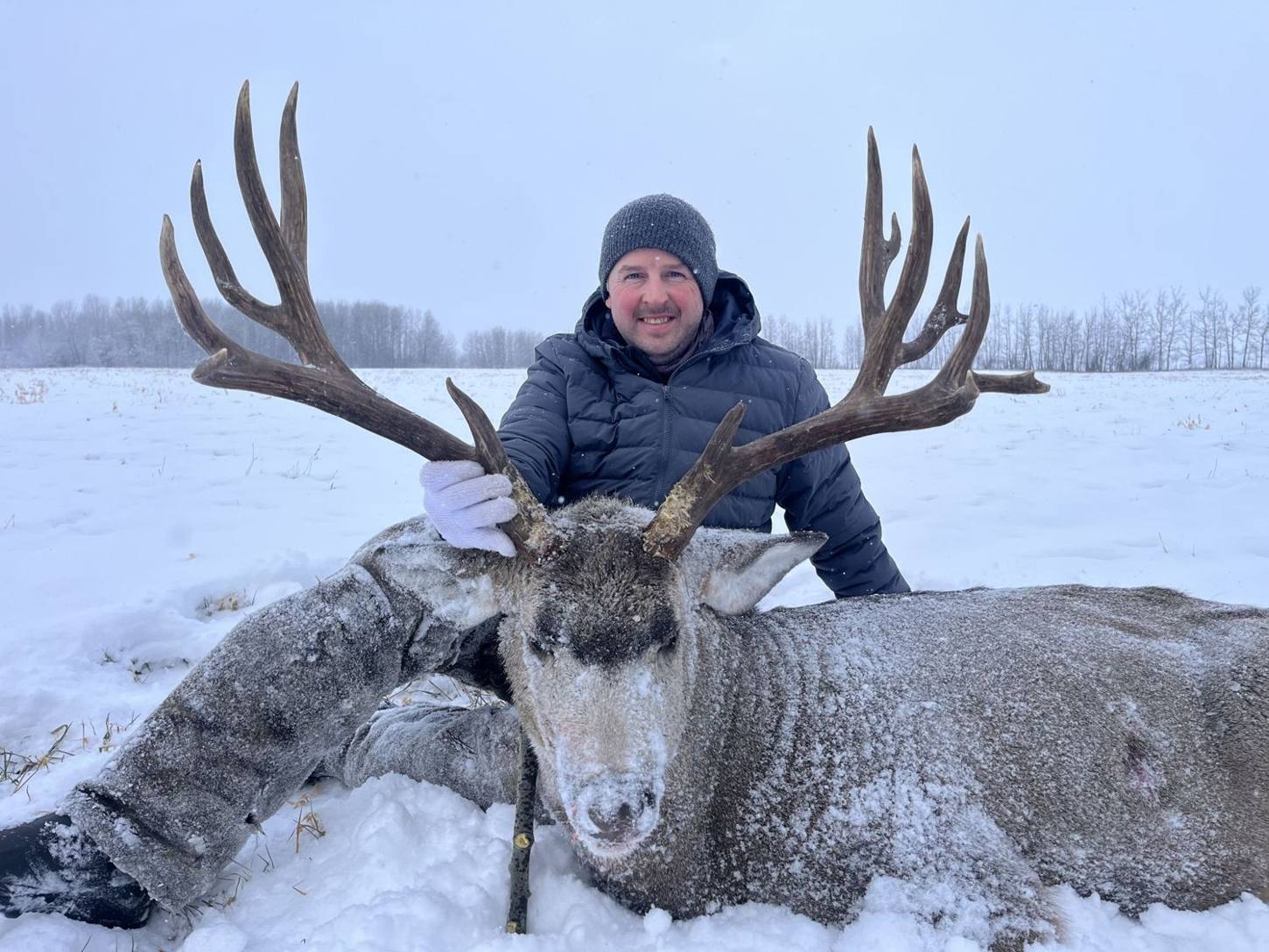 Hunter with an Alberta mule deer