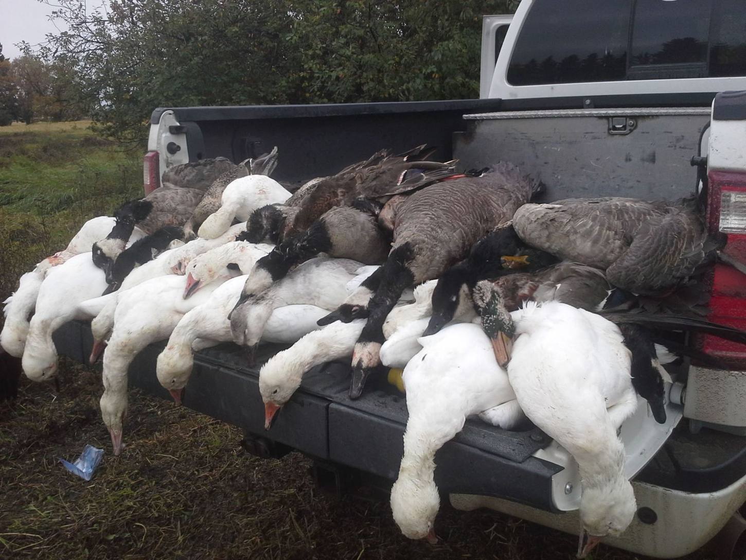 Zarichny Outfitting Alberta hunt photo